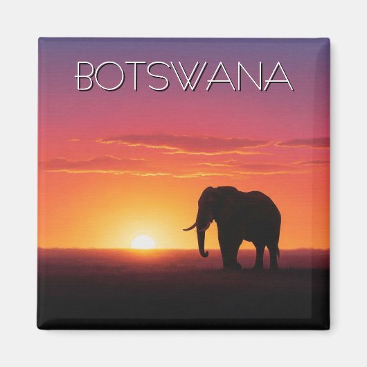 Olifanten in Botswana reizen bij zonsondergang Magneet (Voorkant)