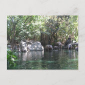 Olifanten in briefkaart (Voorkant)