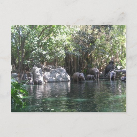 Olifanten in briefkaart (Voorkant)