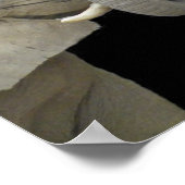 Olifanten in de liefde zwart poster (Hoek)