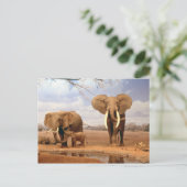 Olifanten in de woestijn briefkaart (Staand voorkant)