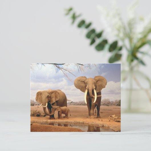 Olifanten in de woestijn briefkaart (Staand voorkant)