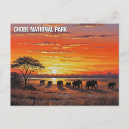 Olifanten in het Chobe National Park in Botswana Briefkaart