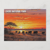 Olifanten in het Chobe National Park in Botswana Briefkaart (Voorkant)