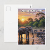 Olifanten in het Chobe National Park in Botswana Briefkaart (Voorkant / Achterkant)