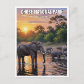 Olifanten in het Chobe National Park in Botswana Briefkaart (Voorkant)