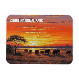 Olifanten in het Chobe National Park in Botswana Magneet
