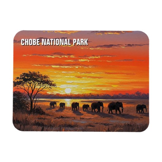 Olifanten in het Chobe National Park in Botswana Magneet (Horizontaal)