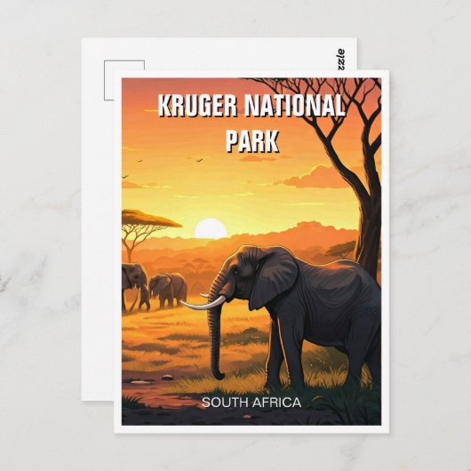 Olifanten in het Kruger National Park in Zuid-Afri Briefkaart (Voorkant / Achterkant)