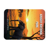 Olifanten in het Kruger National Park in Zuid-Afri Magneet (Horizontaal)