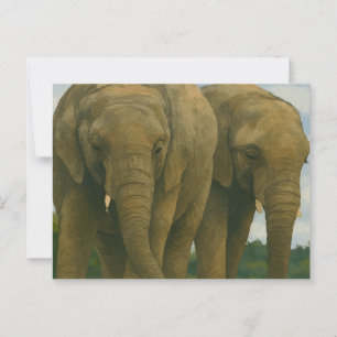 Olifanten in het licht van de savanne briefkaart