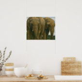 Olifanten in het licht van de savanne poster (Keuken)