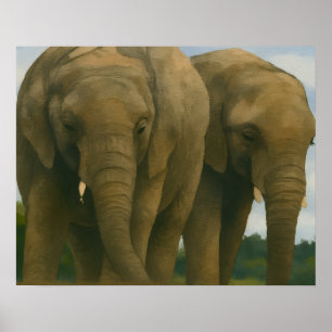 Olifanten in het licht van de savanne poster