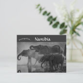 Olifanten in het nationaal park Etosha Namibië Briefkaart (Staand voorkant)