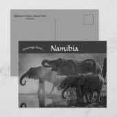 Olifanten in het nationaal park Etosha Namibië Briefkaart (Voorkant / Achterkant)