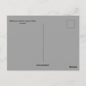 Olifanten in het nationaal park Etosha Namibië Briefkaart (Achterkant)