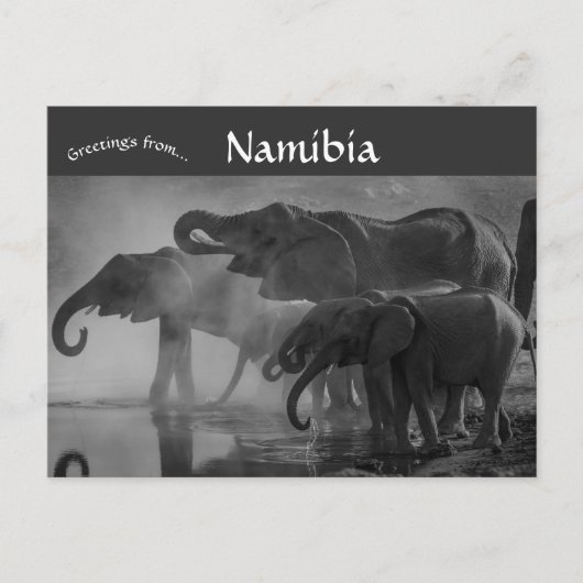 Olifanten in het nationaal park Etosha Namibië Briefkaart (Voorkant)