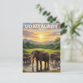 Olifanten in het Udawalawe National Park in Sri La Briefkaart (Staand voorkant)