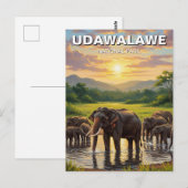 Olifanten in het Udawalawe National Park in Sri La Briefkaart (Voorkant / Achterkant)