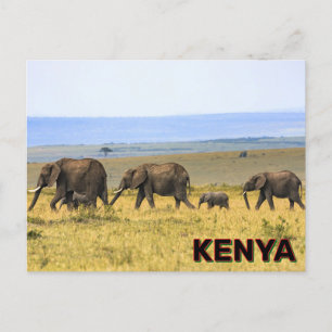 Olifanten in Kenia Briefkaart