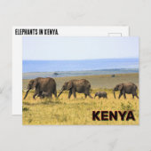 Olifanten in Kenia Briefkaart (Voorkant / Achterkant)