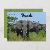Olifanten in Kigali Rwanda Briefkaart (Voorkant / Achterkant)