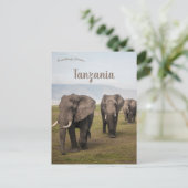 Olifanten in Ngorongoro Tanzania Briefkaart (Staand voorkant)