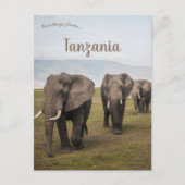 Olifanten in Ngorongoro Tanzania Briefkaart (Voorkant)