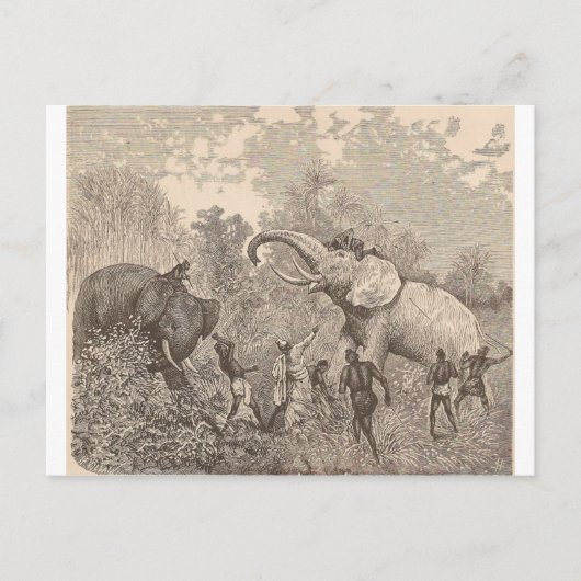 Olifanten jagen briefkaart (Voorkant)