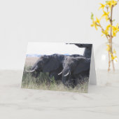 Olifanten Kaart (Gele Bloem)