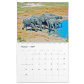 olifanten kalender (Feb 2027)
