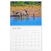 olifanten kalender (Jan 2027)