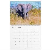 olifanten kalender (Feb 2027)