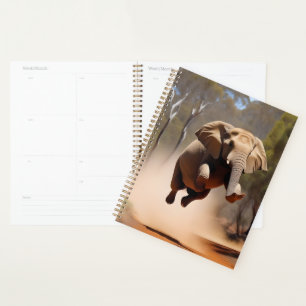 Olifanten kunnen springen, planner