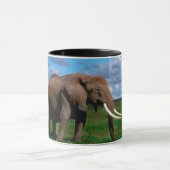 Olifanten Mok (Midden)