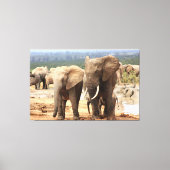 Olifanten naast Canvas omlijst