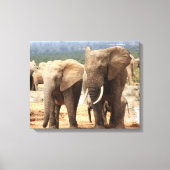 Olifanten naast Canvas omlijst Afdruk (Voorkant)