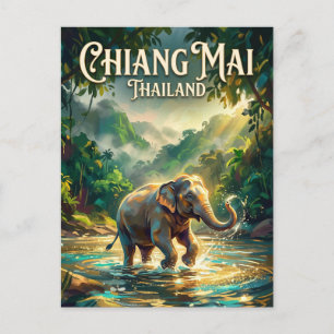Olifanten Natuurpark Thailand Briefkaart
