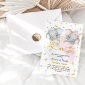 Olifanten onthullen geslacht kaart