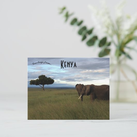 Olifanten op een vlakte in Kenia Briefkaart (Staand voorkant)