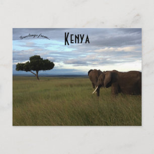 Olifanten op een vlakte in Kenia Briefkaart