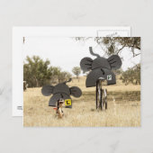 Olifanten op fietsen briefkaart (Voorkant / Achterkant)