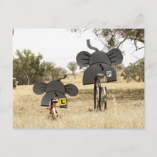 Olifanten op fietsen briefkaart
