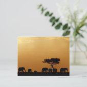 Olifanten op Sunset Briefkaart (Staand voorkant)