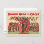 Olifanten optreden met vrouwen en trainers. briefkaart (Voorkant / Achterkant)