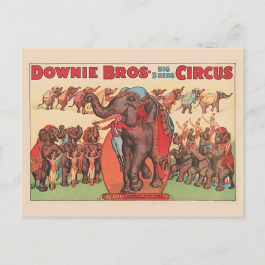 Olifanten optreden met vrouwen en trainers. briefkaart (Voorkant)