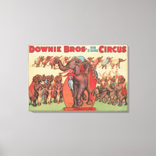 Olifanten optreden met vrouwen en trainers. canvas afdruk (Voorkant)