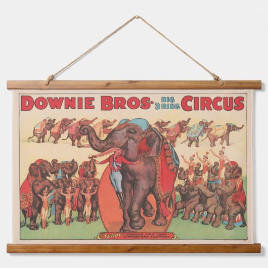 Olifanten optreden met vrouwen en trainers. hangend wandkleed (Voorkant)