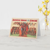 Olifanten optreden met vrouwen en trainers. kaart (Gele Bloem)