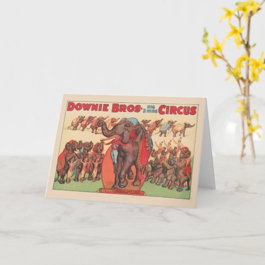 Olifanten optreden met vrouwen en trainers. kaart (Gele Bloem)